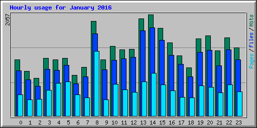 Hourly usage for January 2016