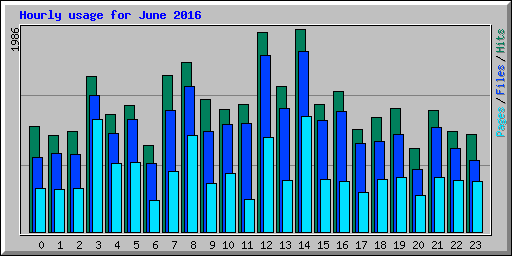 Hourly usage for June 2016