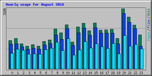 Hourly usage for August 2016